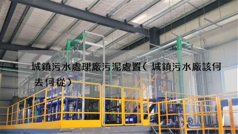 城鎮污水處理廠污泥處置(城鎮污水廠該何去何從)